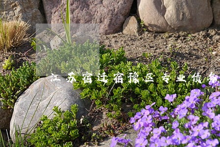 江苏宿迁宿豫区专业债务律师 江苏宿迁宿豫区专业债务律师
