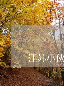 江苏小伙网贷逾期8个月 江苏小伙网贷逾期8个月