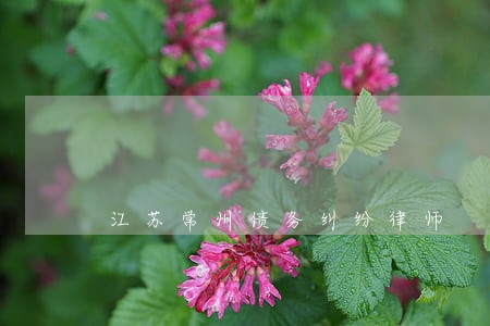 江苏常州债务纠纷律师 江苏常州债务纠纷律师