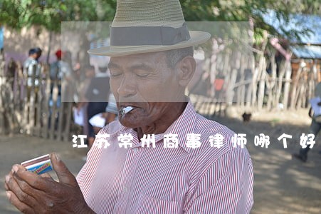 江苏常州商事律师哪个好