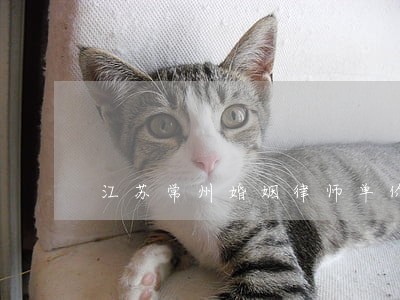 江苏常州婚姻律师单价 江苏常州婚姻律师单价