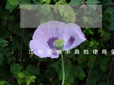 江苏常州市离婚律师免费咨询 江苏常州市离婚律师免费咨询