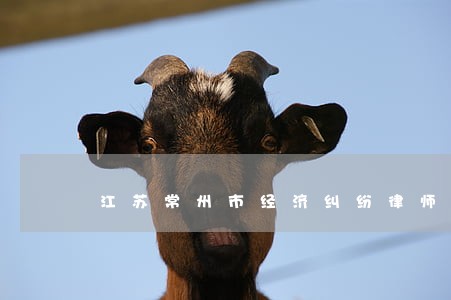 江苏常州市经济纠纷律师咨询 江苏常州市经济纠纷律师咨询
