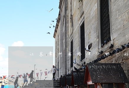 江苏常州离婚律师哪个好 江苏常州离婚律师哪个好