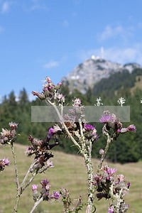 江苏常州离婚律师团队 江苏常州离婚律师团队