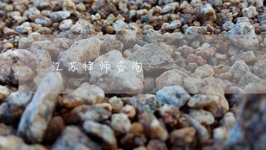 江苏律师咨询 江苏律师咨询