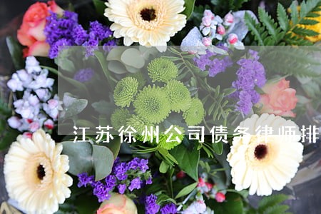 江苏徐州公司债务律师排行 江苏徐州公司债务律师排行