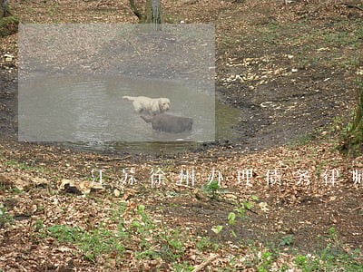 江苏徐州办理债务律师 江苏徐州办理债务律师