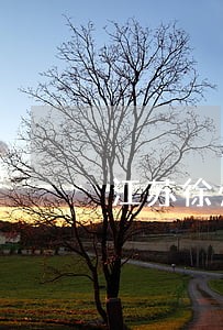 江苏徐州法院离婚电话号码是多少 江苏徐州法院离婚电话号码是多少