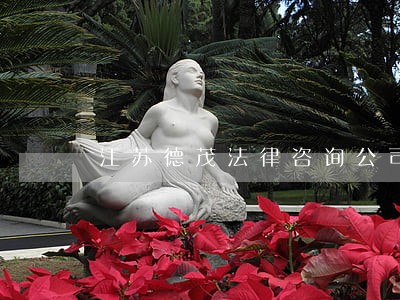 江苏德茂法律咨询公司 江苏德茂法律咨询公司