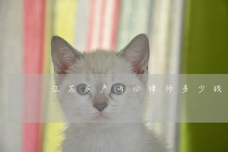 江苏房产诉讼律师多少钱 江苏房产诉讼律师多少钱
