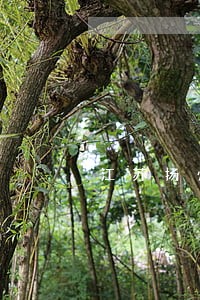江苏扬州代理婚姻律师 江苏扬州代理婚姻律师