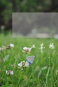 江苏扬州仪征邵长胜律师个人网站 江苏扬州仪征邵长胜律师个人网站