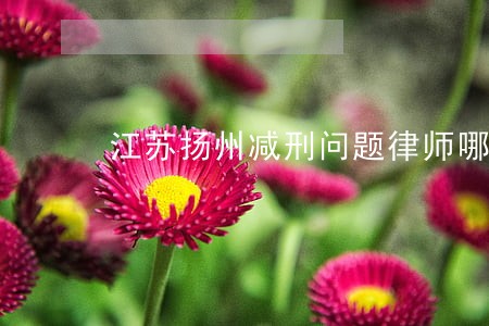 江苏扬州减刑问题律师哪个好 江苏扬州减刑问题律师哪个好