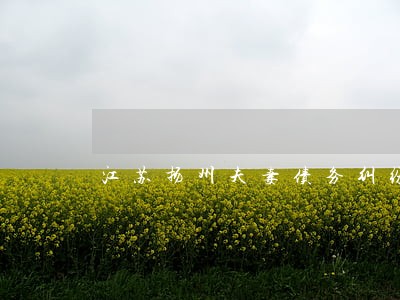 江苏扬州夫妻债务纠纷律师哪里找