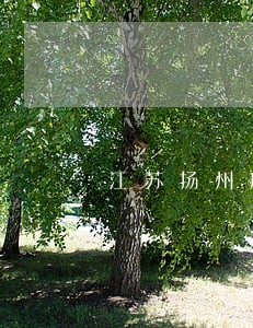 江苏扬州房屋买卖律师介绍 江苏扬州房屋买卖律师介绍