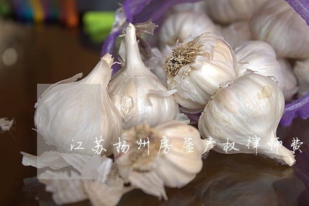 江苏扬州房屋产权律师费 江苏扬州房屋产权律师费