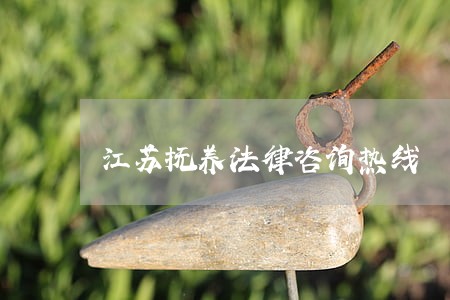 江苏抚养法律咨询热线