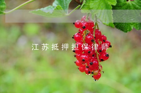 江苏抵押担保律师 江苏抵押担保律师