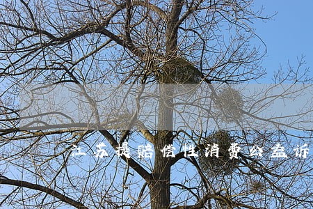 江苏提赔偿性消费公益诉讼 江苏提赔偿性消费公益诉讼