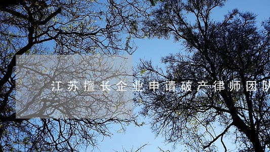 江苏擅长企业申请破产律师团队 江苏擅长企业申请破产律师团队