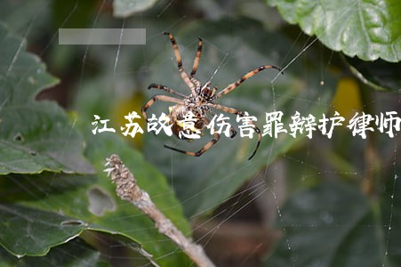 江苏故意伤害罪辩护律师 江苏故意伤害罪辩护律师