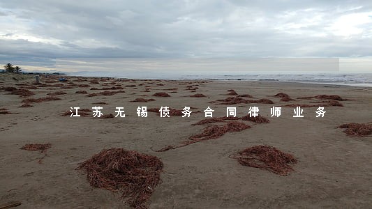 江苏无锡债务合同律师业务 江苏无锡债务合同律师业务