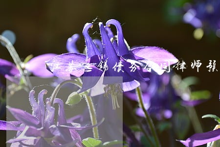 江苏无锡债务合同律师预约咨询 江苏无锡债务合同律师预约咨询