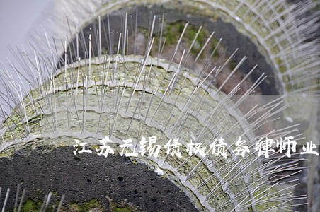 江苏无锡债权债务律师业务 江苏无锡债权债务律师业务