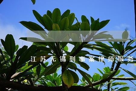 江苏无锡刑事案律师服务平台 江苏无锡刑事案律师服务平台