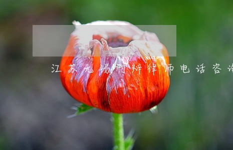 江苏无锡刑辩律师电话咨询 江苏无锡刑辩律师电话咨询