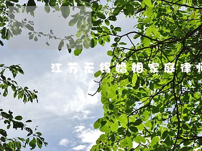 江苏无锡婚姻家庭律师服务网站 江苏无锡婚姻家庭律师服务网站