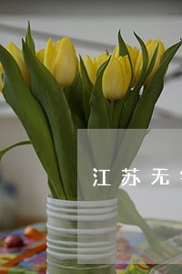 江苏无锡杨真律师 江苏无锡杨真律师