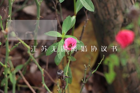 江苏无锡离婚协议书 江苏无锡离婚协议书