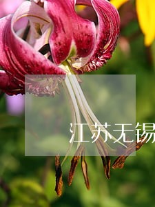 江苏无锡金融债务律师所地址 江苏无锡金融债务律师所地址