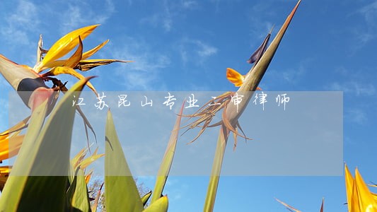 江苏昆山专业二审律师 江苏昆山专业二审律师