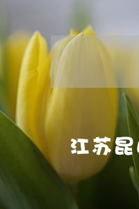 江苏昆山专业债务律师推荐 江苏昆山专业债务律师推荐