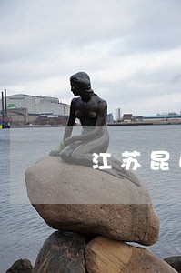 江苏昆山专业办大额债务律师推荐 江苏昆山专业办大额债务律师推荐