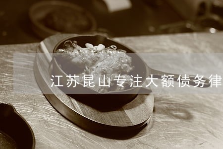 江苏昆山专注大额债务律师推荐 江苏昆山专注大额债务律师推荐
