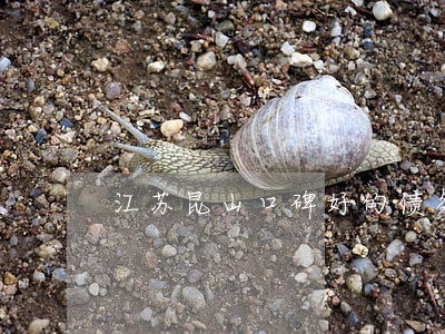 江苏昆山口碑好的债务律师哪个好 江苏昆山口碑好的债务律师哪个好