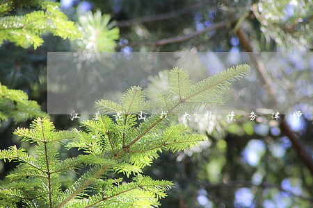 江苏昆山找大额债务律师哪个好 江苏昆山找大额债务律师哪个好