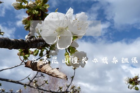 江苏昆山擅长办债务担保律师推荐 江苏昆山擅长办债务担保律师推荐