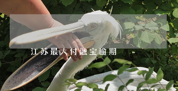 江苏最大付融宝逾期 江苏最大付融宝逾期