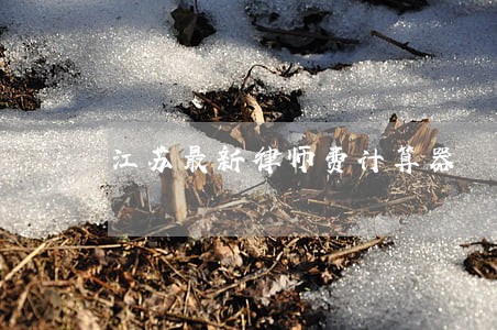 江苏最新律师费计算器 江苏最新律师费计算器