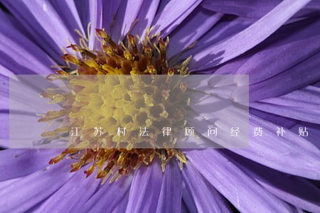 江苏村法律顾问经费补贴 江苏村法律顾问经费补贴