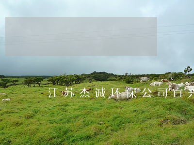 江苏杰诚环保公司宜兴法院官司