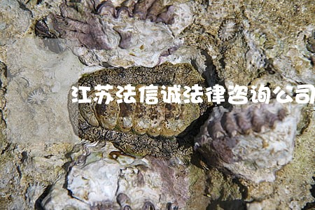 江苏法信诚法律咨询公司 江苏法信诚法律咨询公司