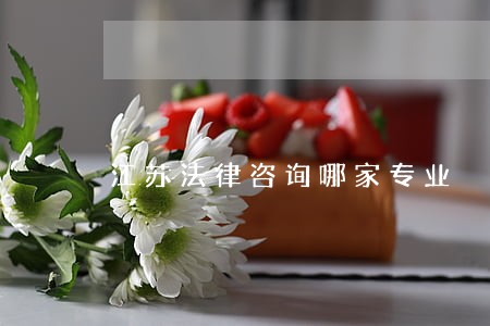 江苏法律咨询哪家专业