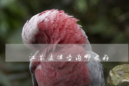 江苏法律咨询哪家好 江苏法律咨询哪家好
