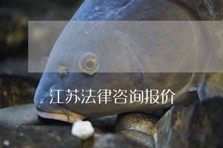 江苏法律咨询报价